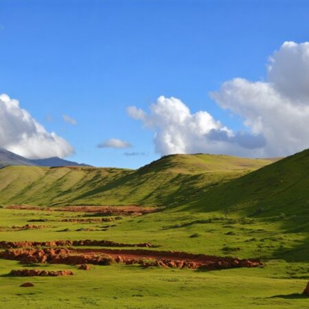 Puna Pau – Chile